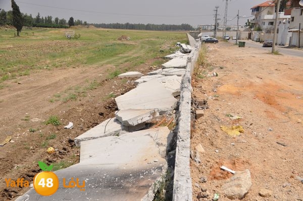 wallludshaneer509 (6).JPG